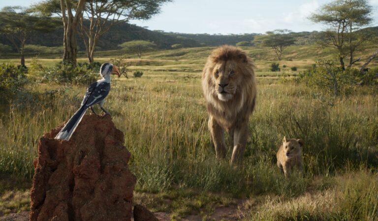 lion king 5